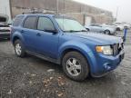 2010 Ford Escape Xlt للبيع في Fredericksburg، VA - Front End