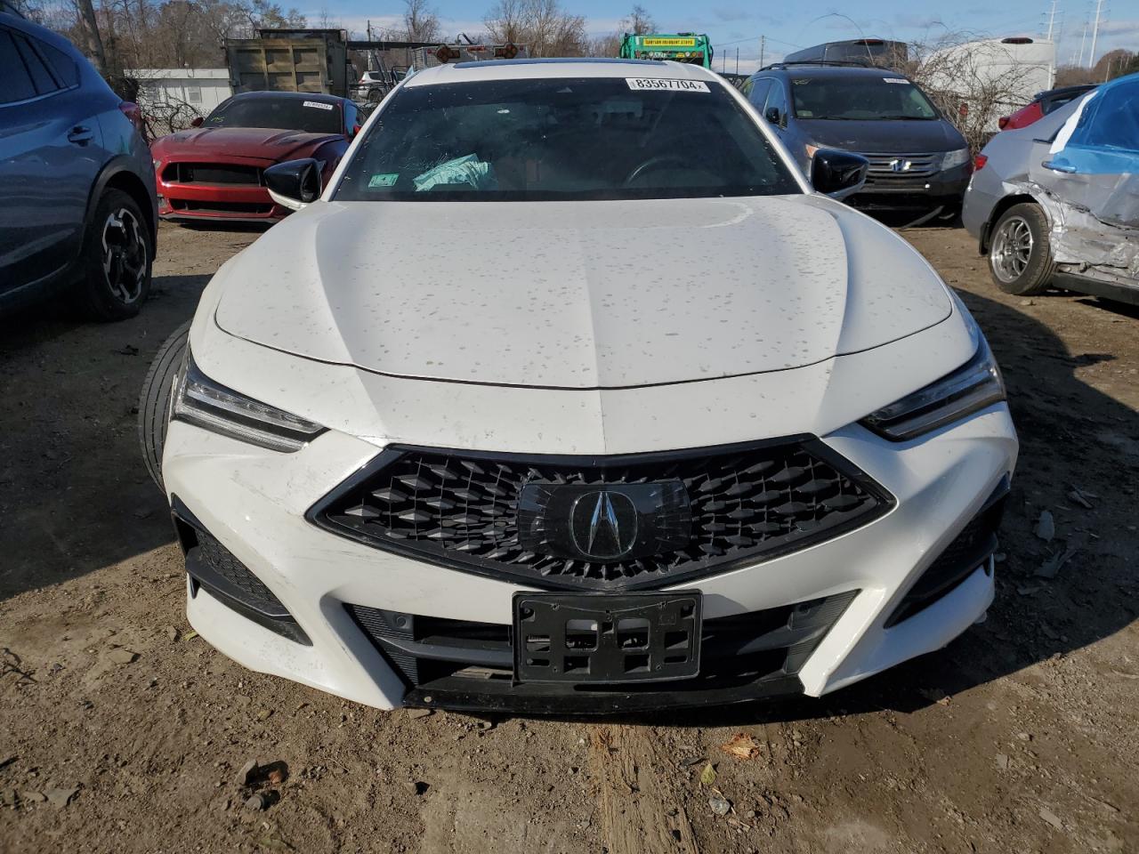 VIN 19UUB6F52MA008104 2021 ACURA TLX no.5