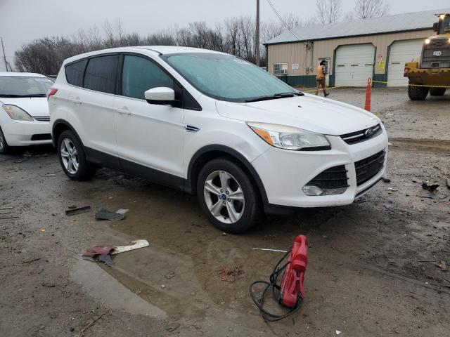  FORD ESCAPE 2014 White