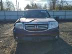 2014 Honda Pilot Exl продається в Hillsborough, NJ - Side