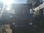 2009 FREIGHTLINER CHASSIS M LINE WALK-IN VAN for sale at Copart NY - LONG ISLAND