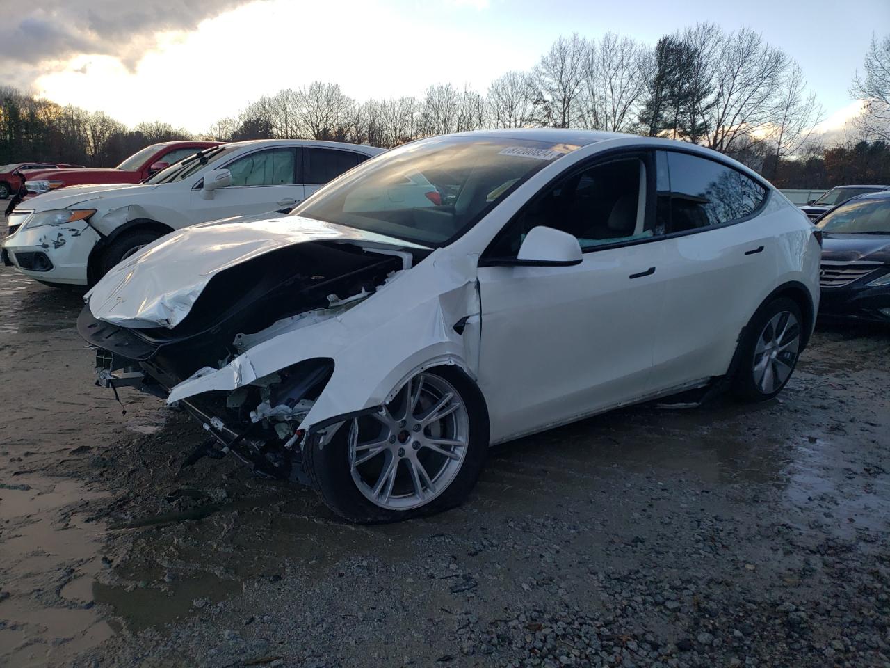 VIN 7SAYGDEE7PA141881 2023 TESLA MODEL Y no.1