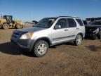 2002 Honda Cr-V Ex продається в Brighton, CO - Hail