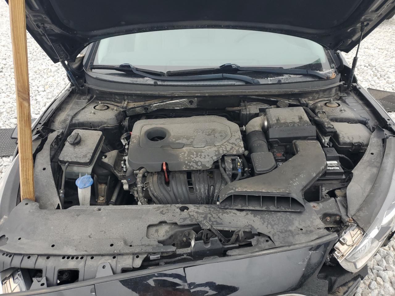 VIN 5NPE24AF6KH807123 2019 HYUNDAI SONATA no.11