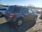 2010 Ford Escape Xlt на продаже в Assonet, MA - Normal Wear