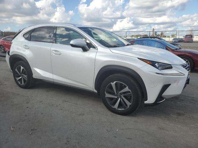  LEXUS NX 2019 Белы