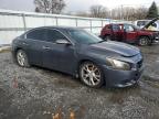 2012 Nissan Maxima S للبيع في Albany، NY - Front End