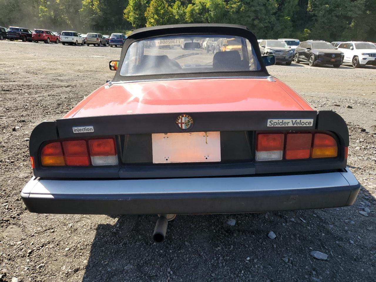 1986 Alfa Romeo Veloce 2000 Spider VIN: ZARBA5417G1036669 Lot: 83489434