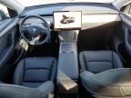 2023 Tesla Model Y  на продаже в Denver, CO - Hail