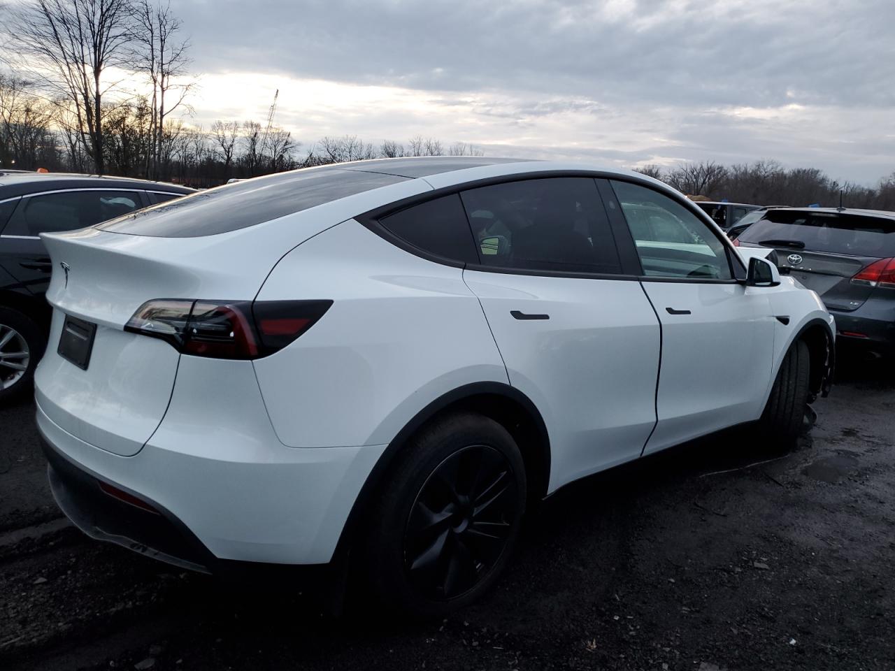 2024 Tesla Model Y VIN: 7SAYGDED2RF159699 Lot: 84824804