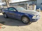 2005 Ford Mustang  na sprzedaż w Albuquerque, NM - Side
