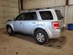 2010 Ford Escape Limited продається в Pennsburg, PA - Front End