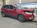 2014 Ford Escape Titanium იყიდება Pasco-ში, WA - Front End