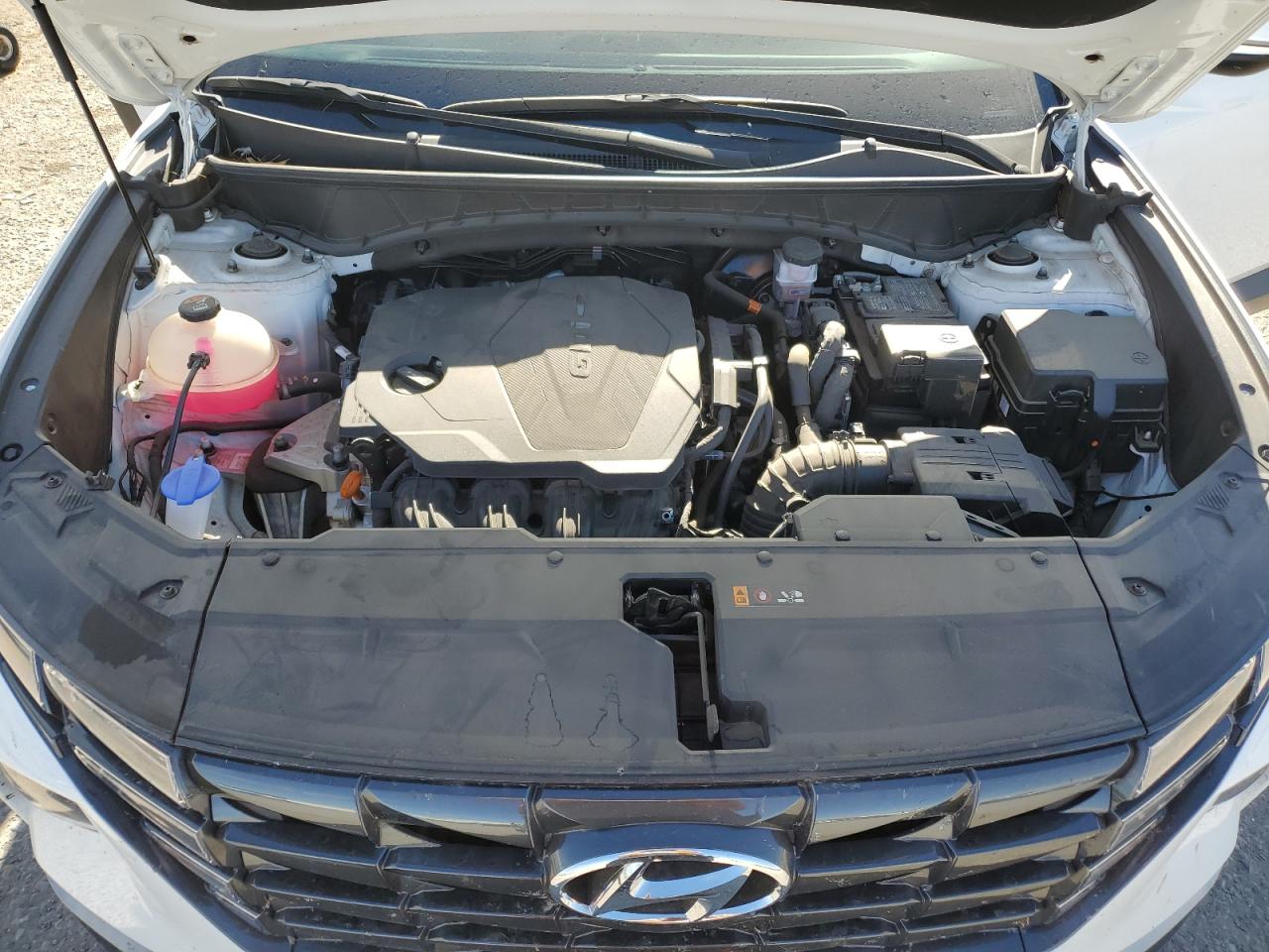 VIN 5NMJF3AE6PH184918 2023 HYUNDAI TUCSON no.12