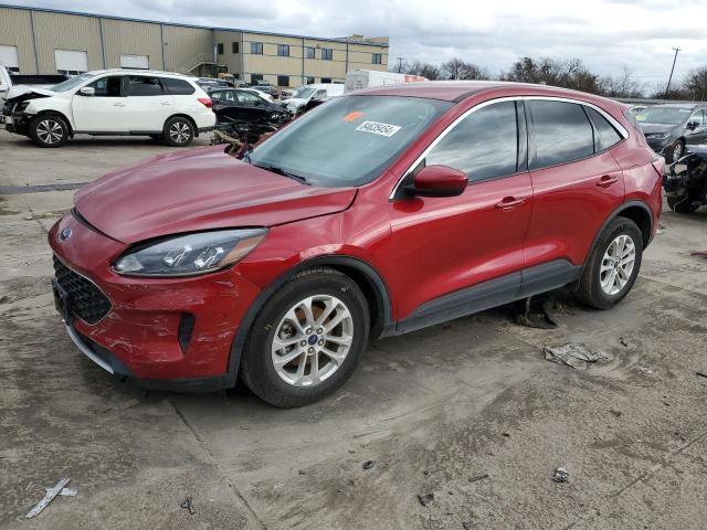  FORD ESCAPE 2020 Czerwony