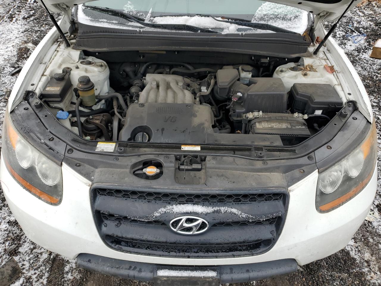 2009 Hyundai Santa Fe Gls VIN: 5NMSG13D09H310221 Lot: 84056284