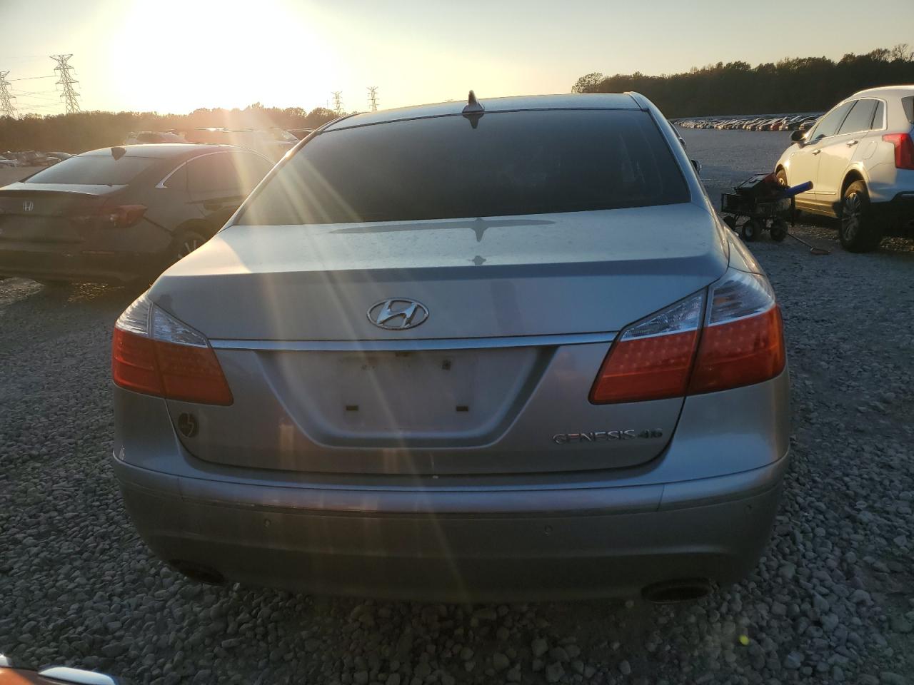 2009 Hyundai Genesis 4.6L VIN: KMHGC46F99U038031 Lot: 82464084