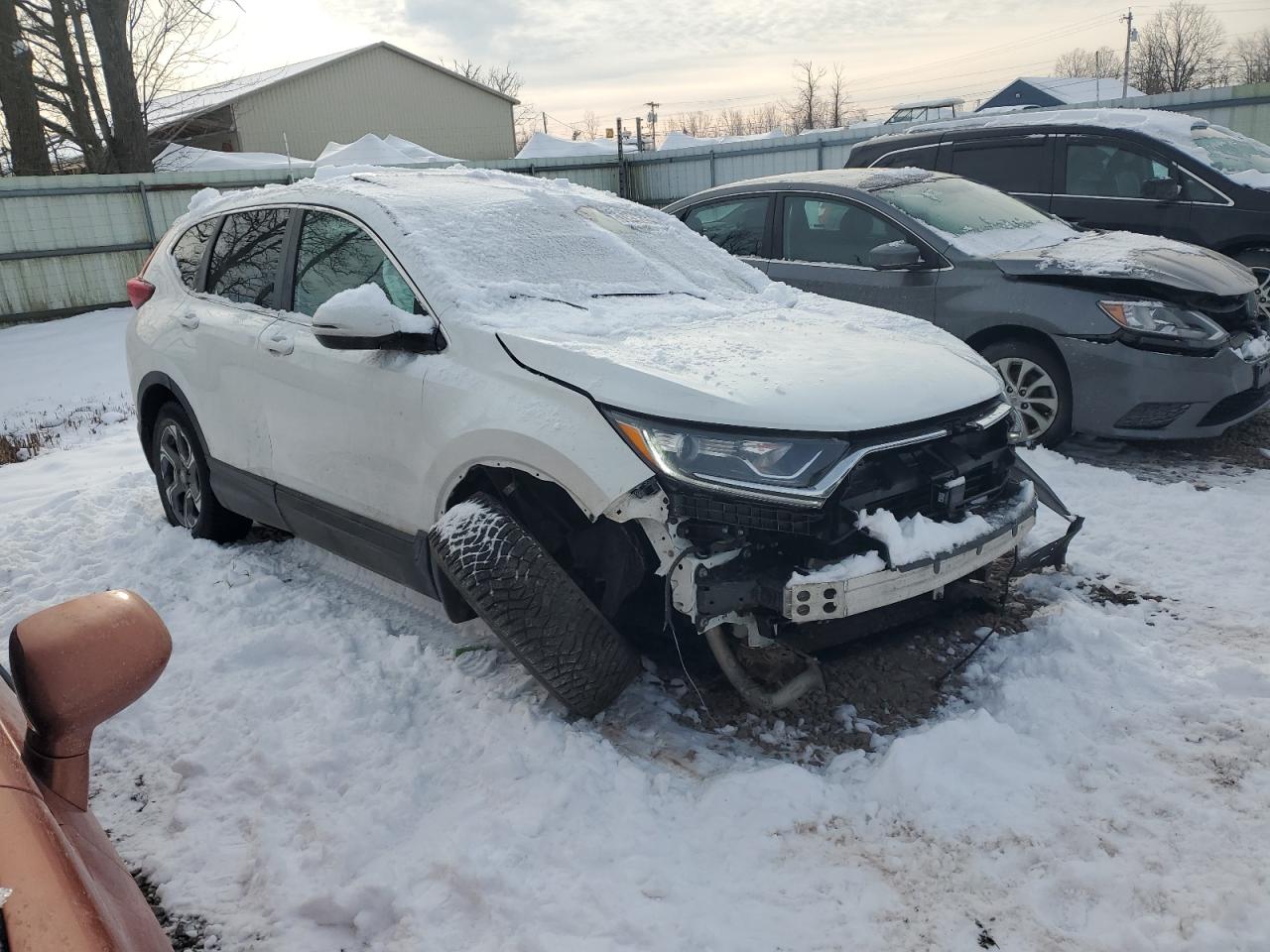 VIN 2HKRW2H5XKH666385 2019 HONDA CRV no.4