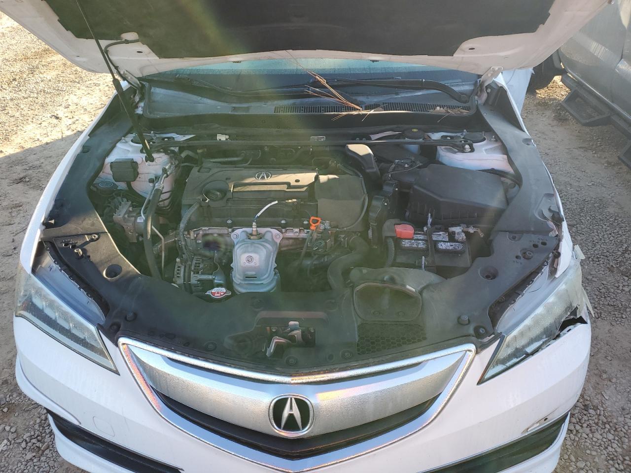 2015 Acura Tlx VIN: 19UUB1F32FA005286 Lot: 85545564