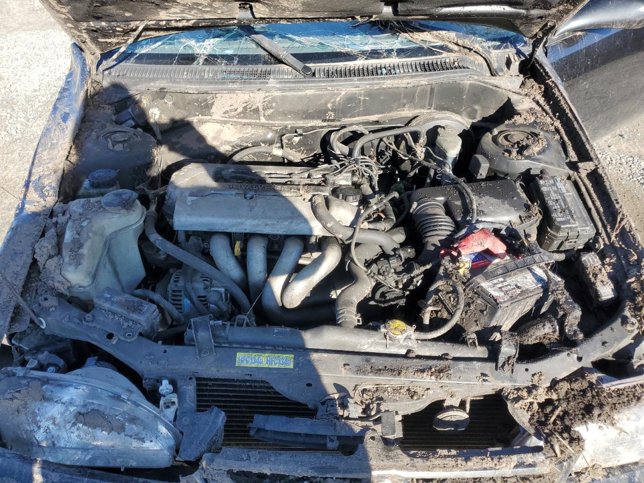 1999 Toyota Corolla - Image 11