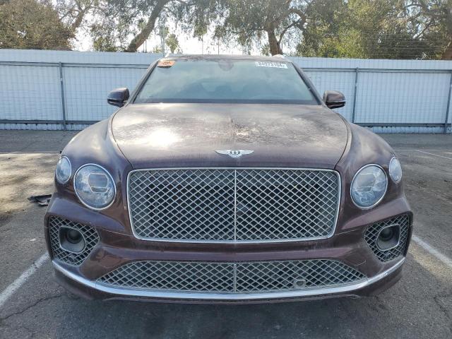  BENTLEY ALL MODELS 2021 Maroon