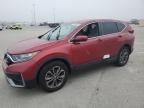 2020 Honda Cr-V Ex en Venta en Riverview, FL - Water/Flood