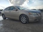 2008 Toyota Camry Hybrid en Venta en West Palm Beach, FL - Minor Dent/Scratches