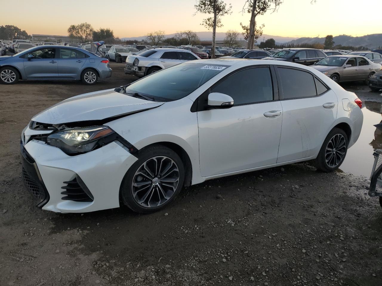 2019 TOYOTA COROLLA