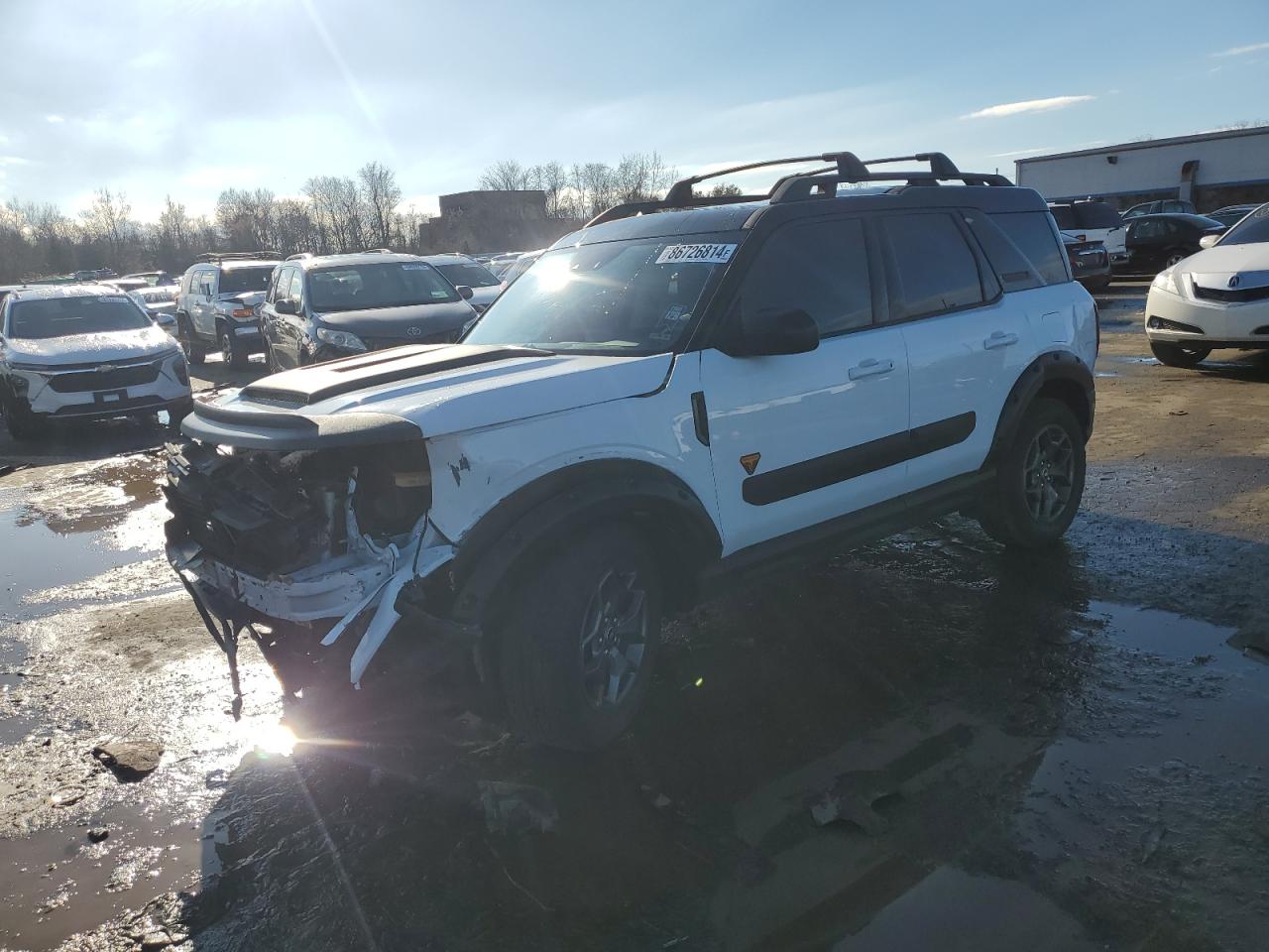 2021 Ford Bronco Sport Badlands VIN: 3FMCR9D99MRA73370 Lot: 86726814