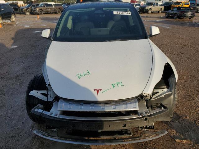  TESLA MODEL Y 2023 Biały