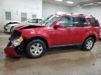 2010 Ford Escape Limited for Sale in Davison, MI - Front End