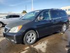 2009 Honda Odyssey Touring للبيع في Littleton، CO - Hail