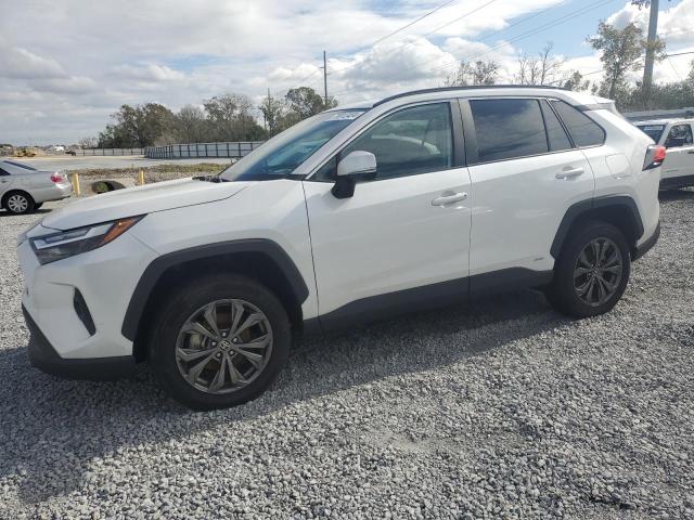 2023 Toyota Rav4 Xle Premium за продажба в Riverview, FL - Water/Flood