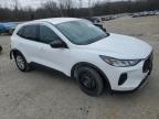 2023 Ford Escape Active en Venta en Memphis, TN - Rear End
