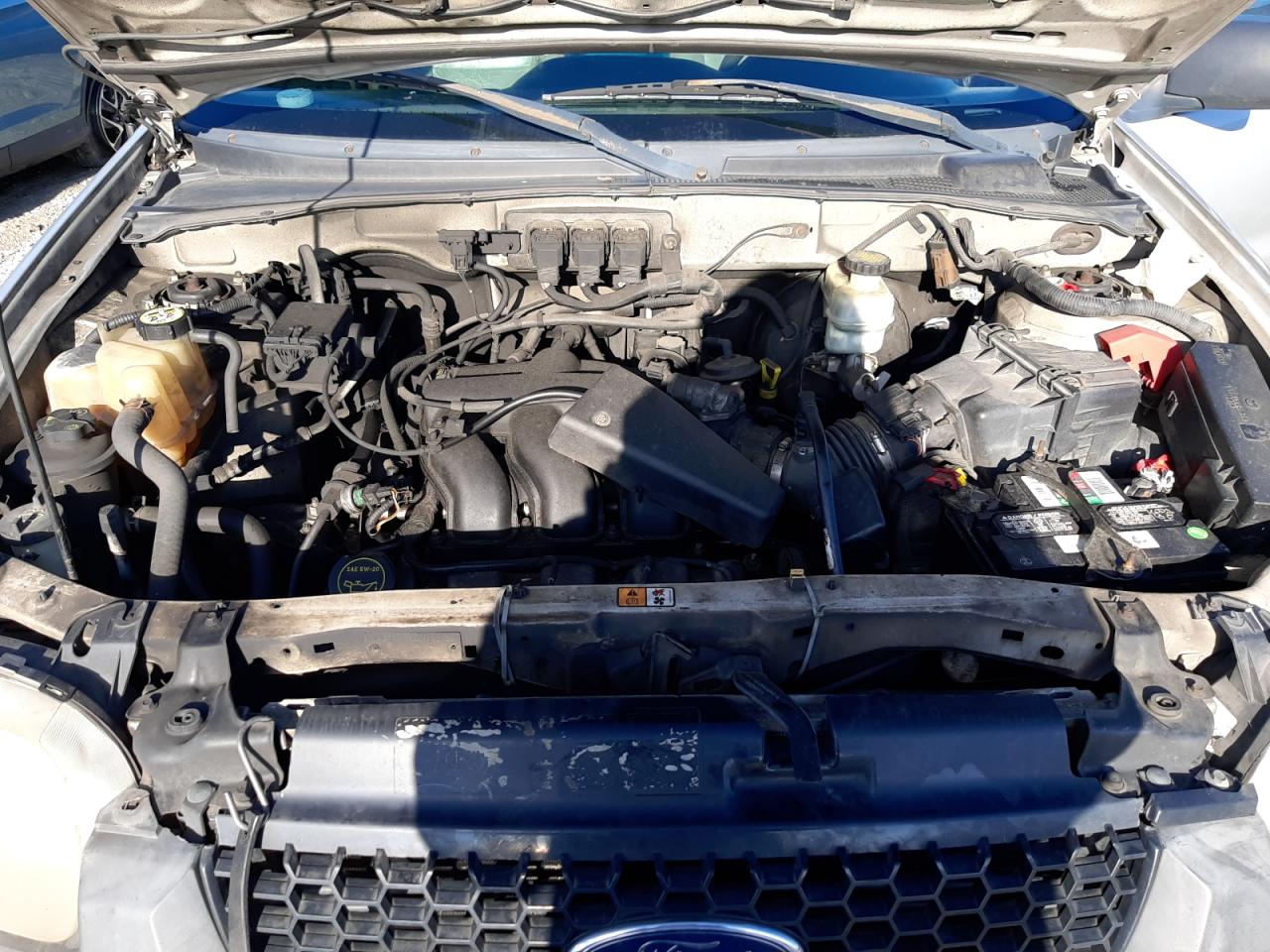 2005 Ford Escape Xlt VIN: 1FMYU93165KB62917 Lot: 86799154