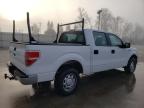 2013 Ford F150 Supercrew na sprzedaż w Spartanburg, SC - Minor Dent/Scratches