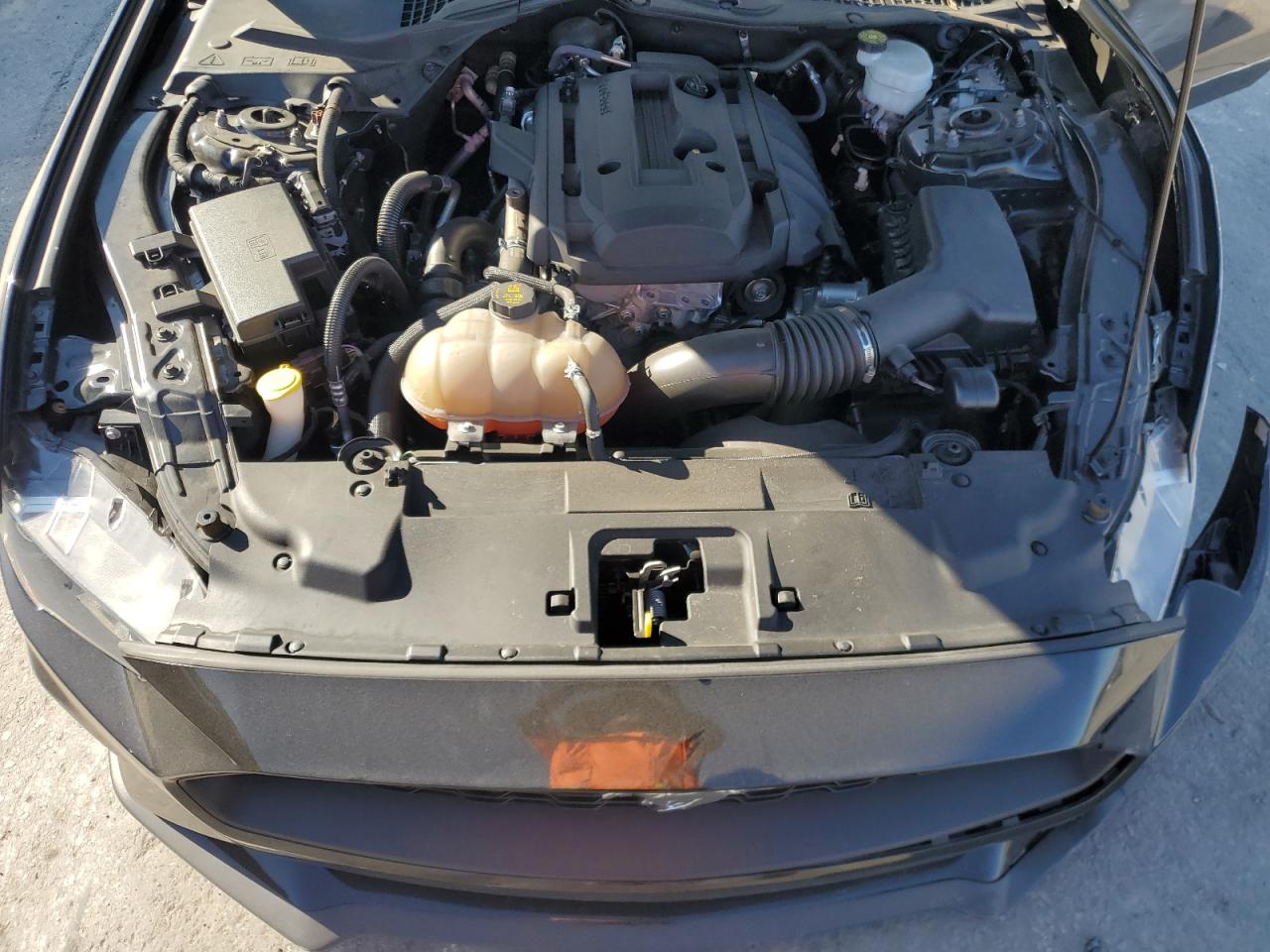 2019 Ford Mustang - Image 11
