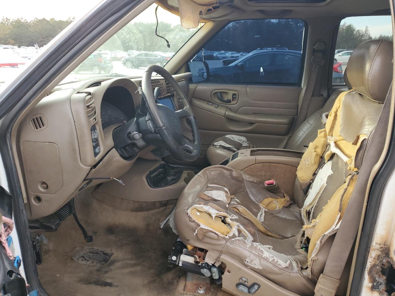 1999 Chevrolet Blazer VIN: 1GNDT13W1X2163194 Lot: 82897414