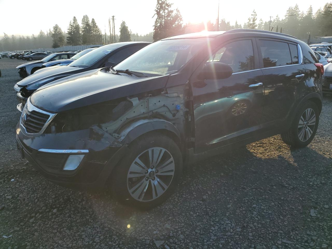 2016 Kia Sportage - Image 1