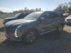 2024 Hyundai Palisade Limited de vânzare în Riverview, FL - Side