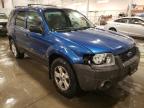 2007 Ford Escape Xlt de vânzare în Avon, MN - Front End