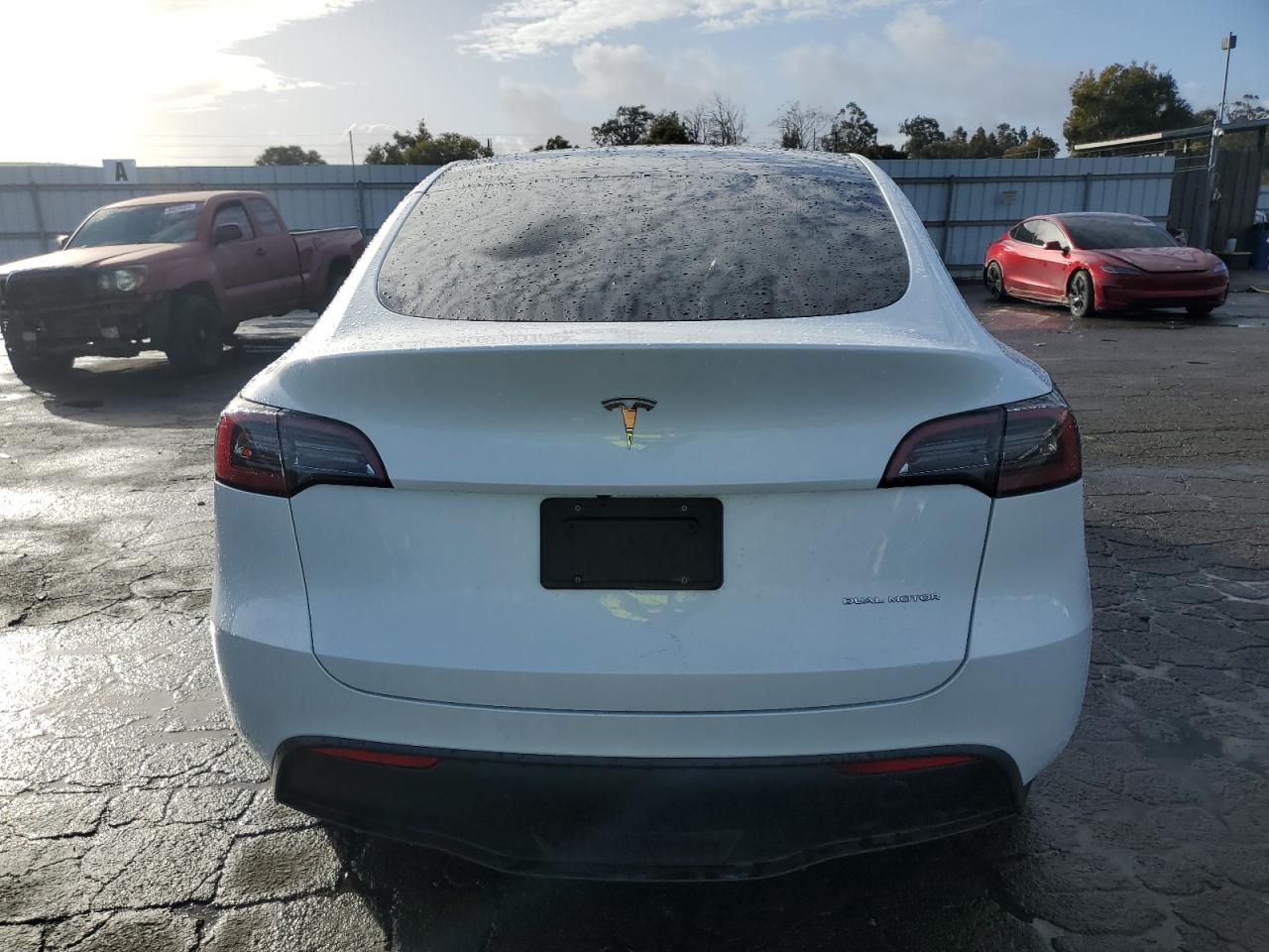 2023 Tesla Model Y VIN: 7SAYGDEE4PF695575 Lot: 84877544