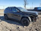 2017 Jeep Cherokee Trailhawk للبيع في Cicero، IN - Front End