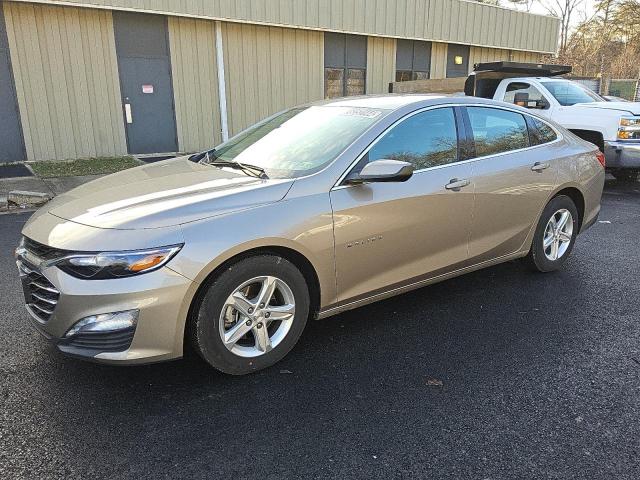  CHEVROLET MALIBU 2024 Beige