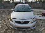 2010 Toyota Corolla Base zu verkaufen in Opa Locka, FL - Front End