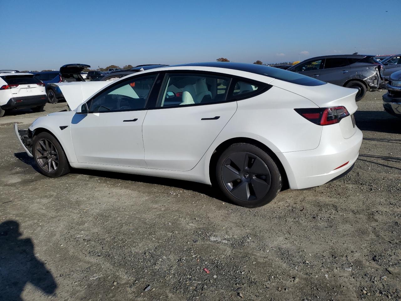 VIN 5YJ3E1EA5PF584350 2023 TESLA MODEL 3 no.2