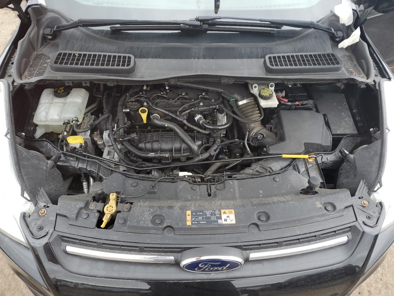 VIN 1FMCU0GX5EUE38108 2014 FORD ESCAPE no.11