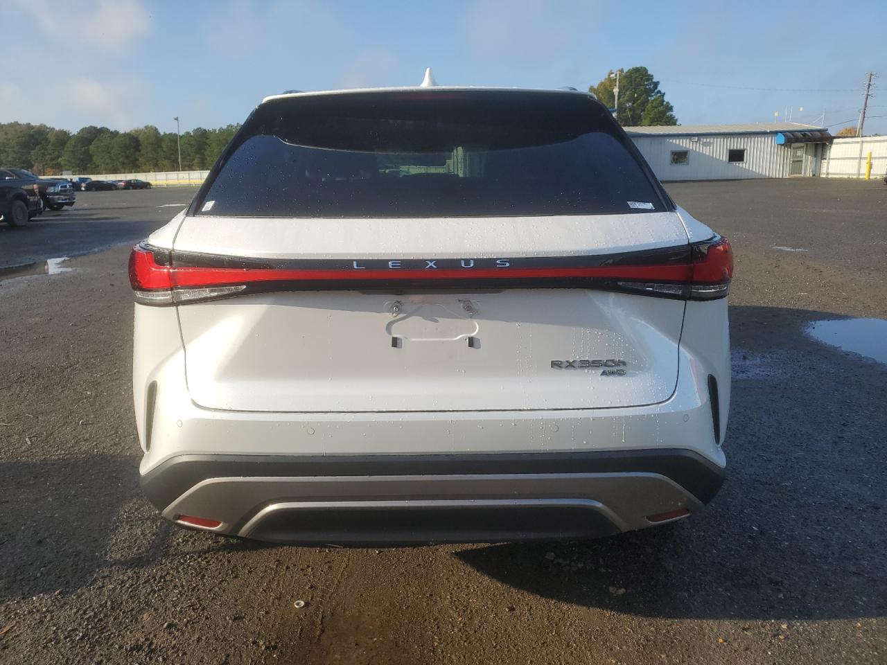 2023 Lexus RX - Image 6