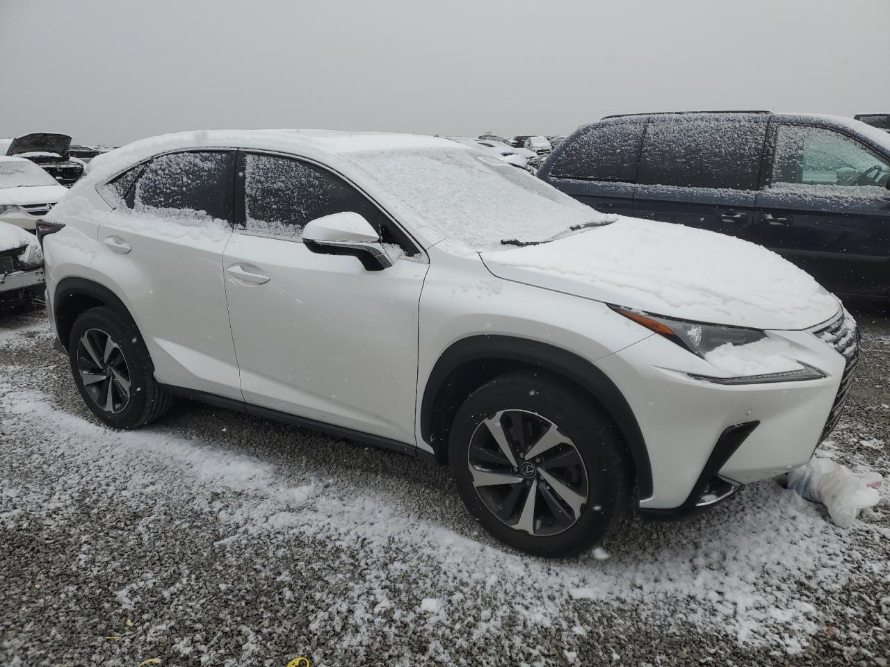 2019 Lexus NX - Image 4