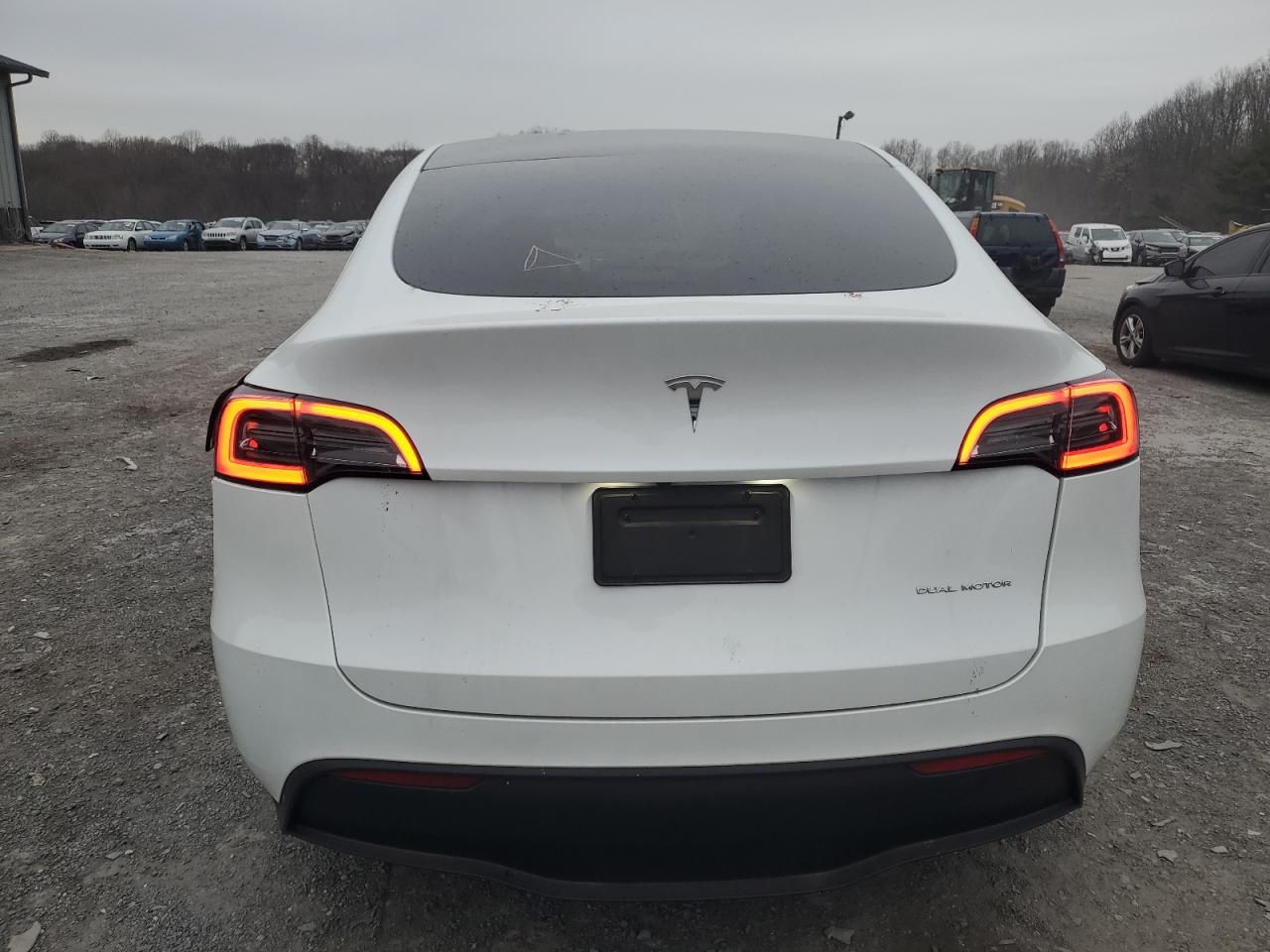 VIN 7SAYGDEE7PF673621 2023 TESLA MODEL Y no.6